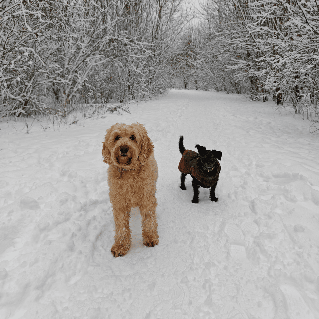 Van uitjes naar opname - Blog 26 Jill - Beeld 1